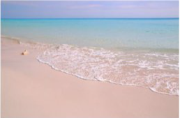 hamiltoncertifications.eth Ethereum Name Service (ENS and .eth domain) PFP